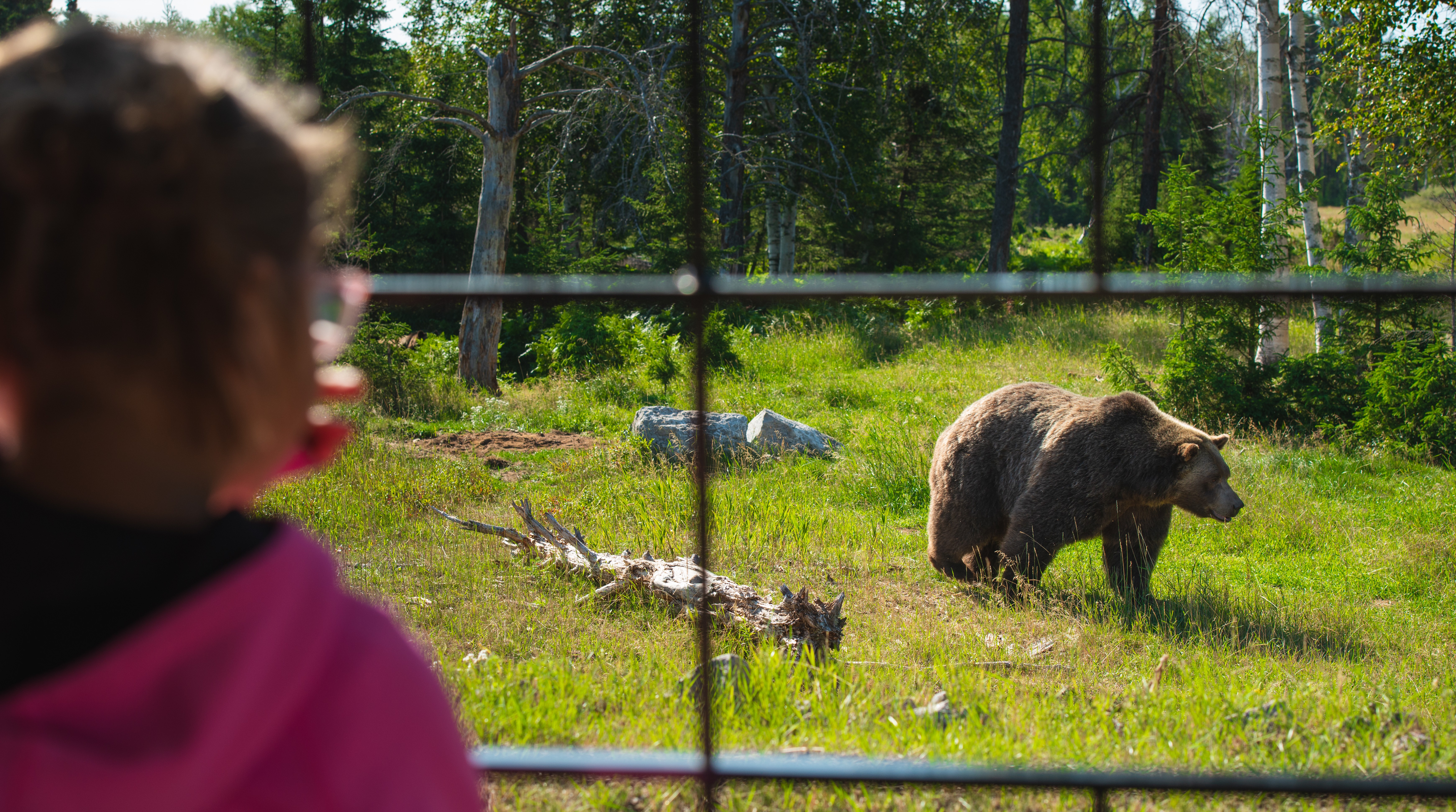 here 7 zoos animal parks